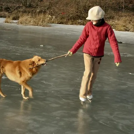 Alloggio per agriturismo 21 Zloty Potok (Luban)