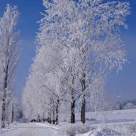 Alloggio per agriturismo 21 Zloty Potok (Luban)