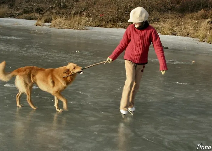 Feriegård 21 Zloty Potok (Luban)
