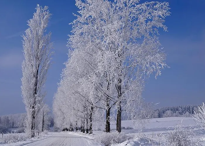Feriegård 21 Zloty Potok (Luban)